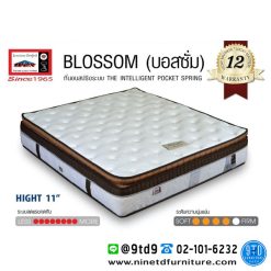 LUCKY MATTRESS ที่นอนลัคกี้ Pocket spring รุ่น BLOSSOM